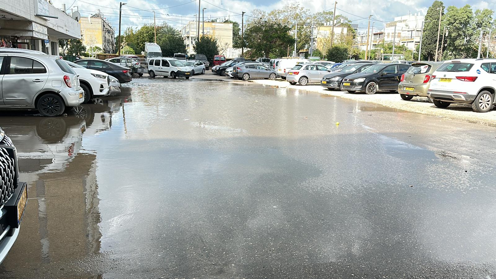 WhatsApp Image 2024-01-30 at 19.11.08.jpeg